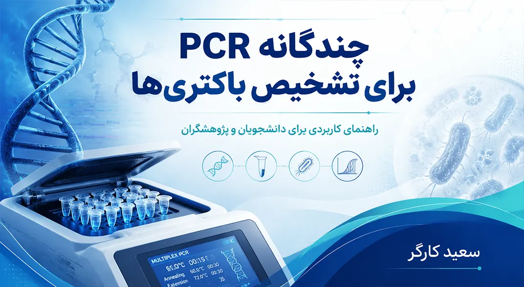 PCR چندگانه برای تشخیص باکتری ها