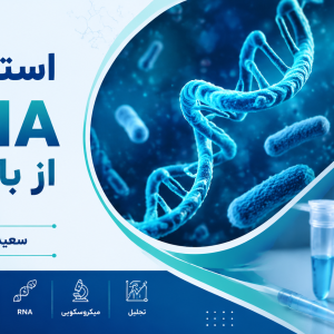 استخراج RNA | rna extraction