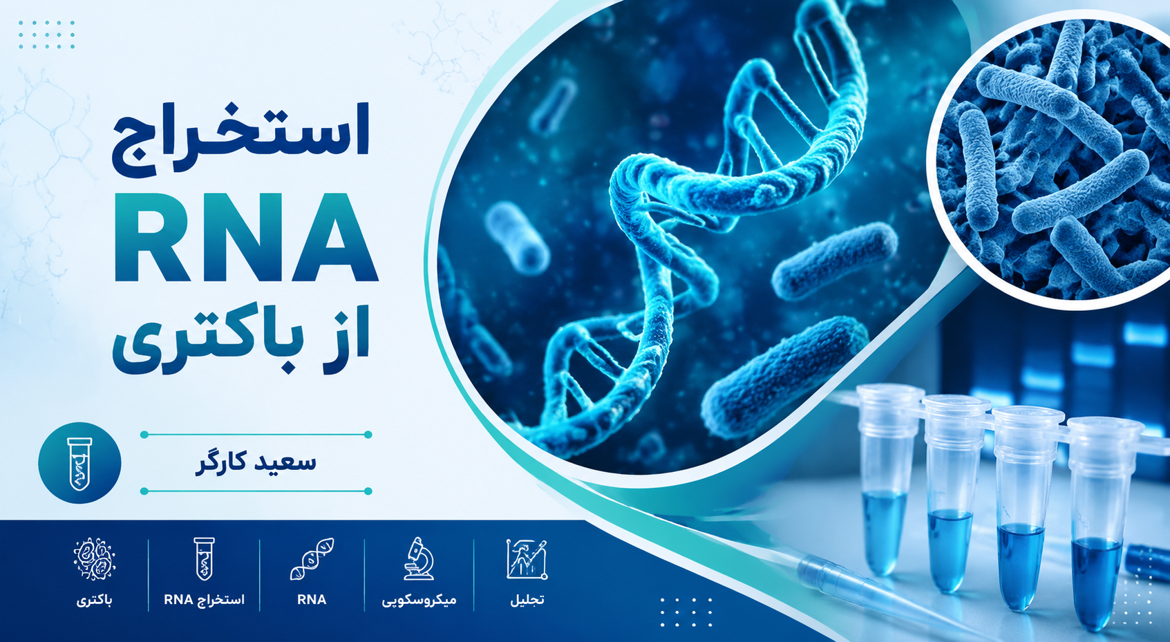 استخراج RNA | rna extraction