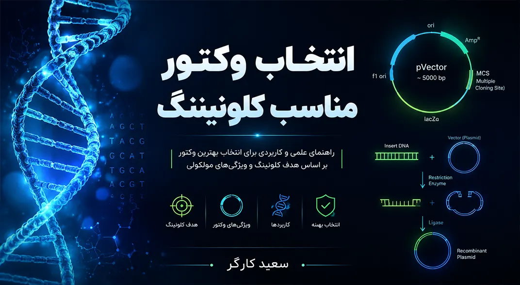 انتخاب وکتور مناسب کلونینگ