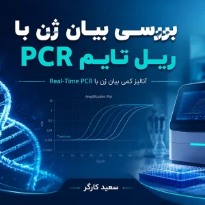 بررسی بیان ژن با ریل تایم پی سی آر