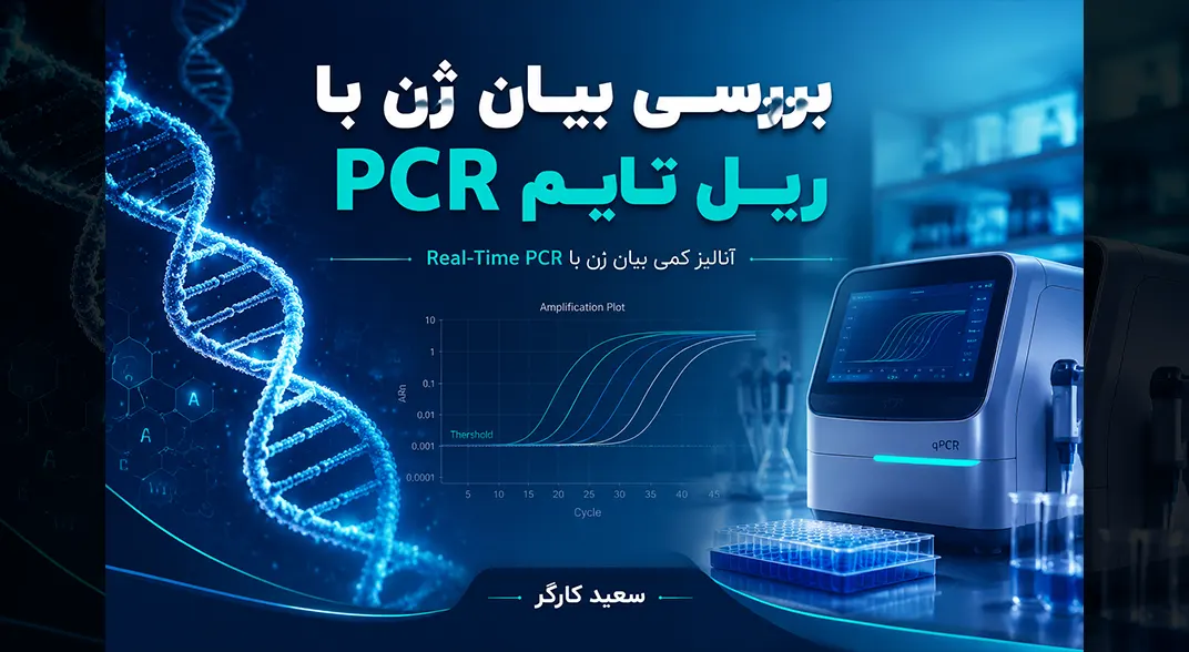 بررسی بیان ژن با ریل تایم پی سی آر