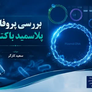 بررسی پروفایل پلاسمید باکتری