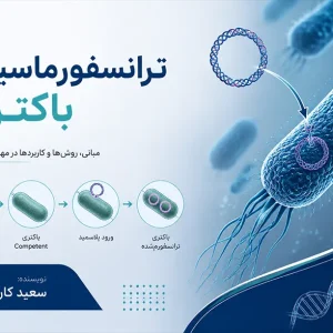 ترانسفورماسیون باکتری