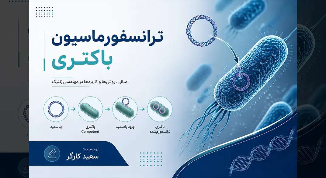 ترانسفورماسیون باکتری