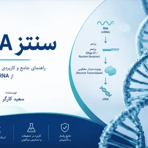 سنتز cDNA