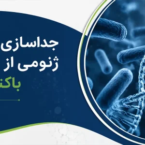 استخراج DNA ژنومی از سلول باکتریایی