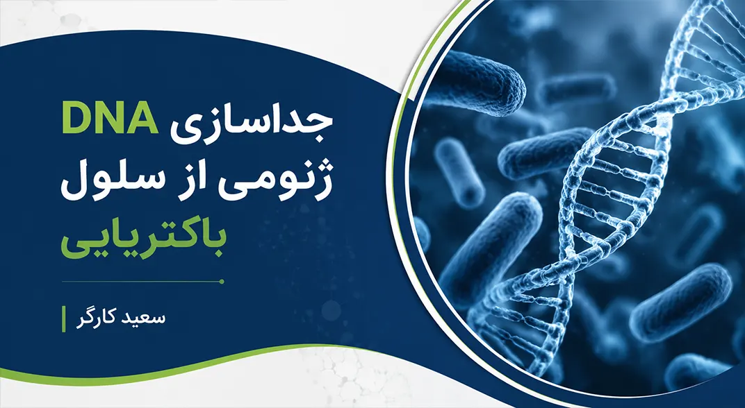 استخراج DNA ژنومی از سلول باکتریایی