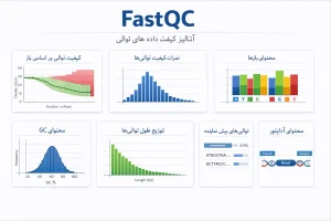 مهم‌ترین گزارش‌ها و خروجی‌ها در FastQC