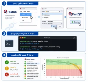 نحوه استفاده از FastQC