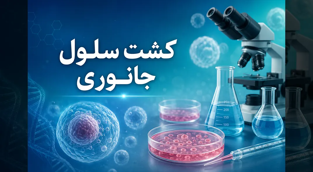 کشت سلول جانوری