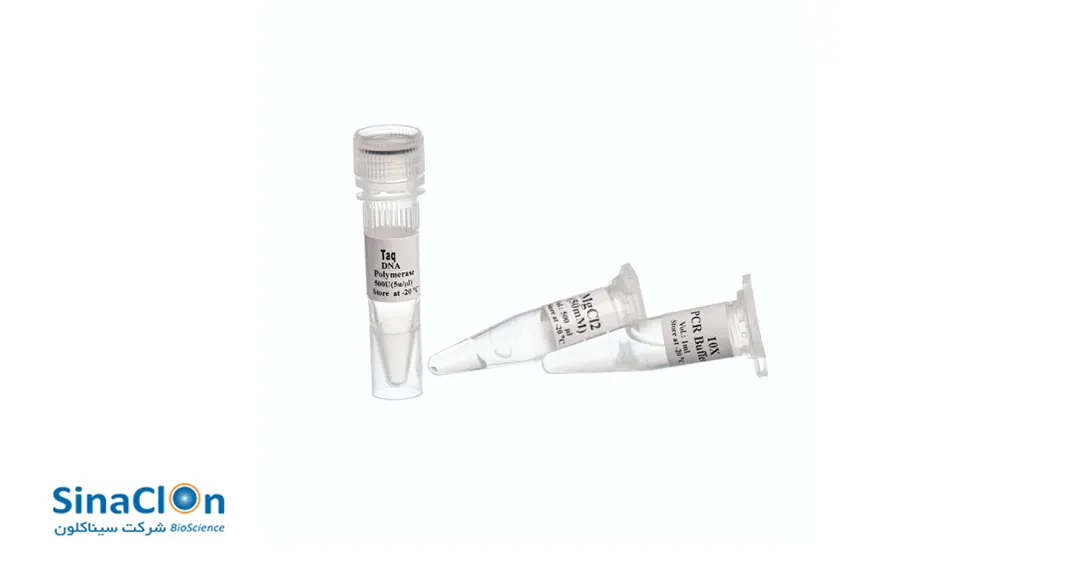 آنزیم Taq DNA Polymerase سیناکلون